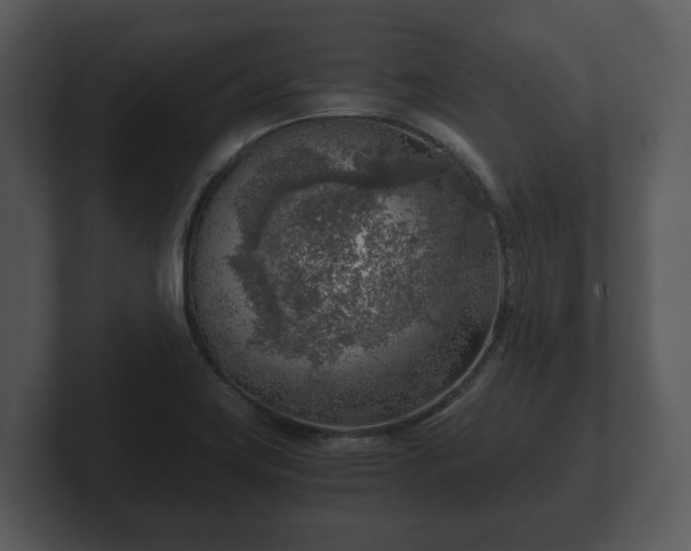 X0000103161419200808291441