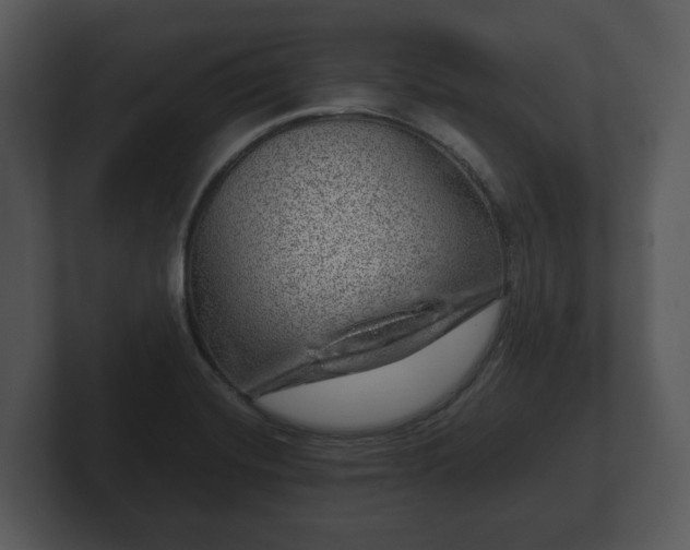 X0000103161420200808291441