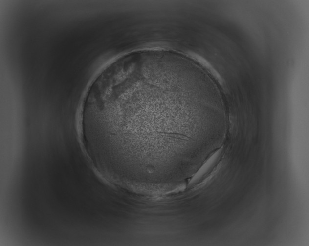 X0000103161421200808291441