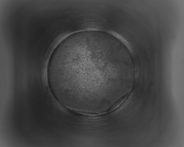 X0000103161423200808291441