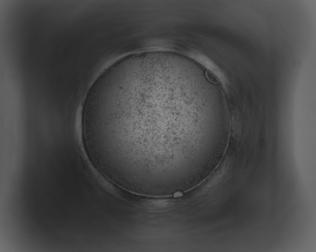 X0000103161431200808291441