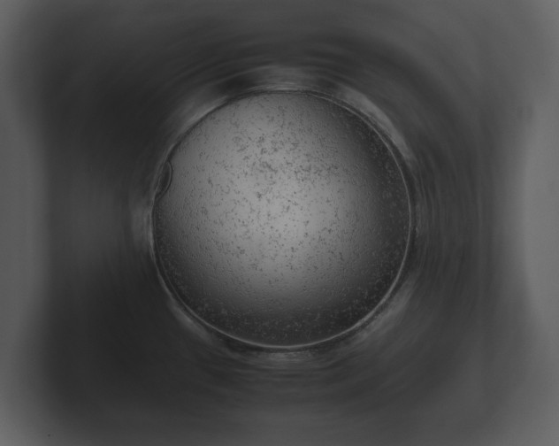 X0000103161433200808291441