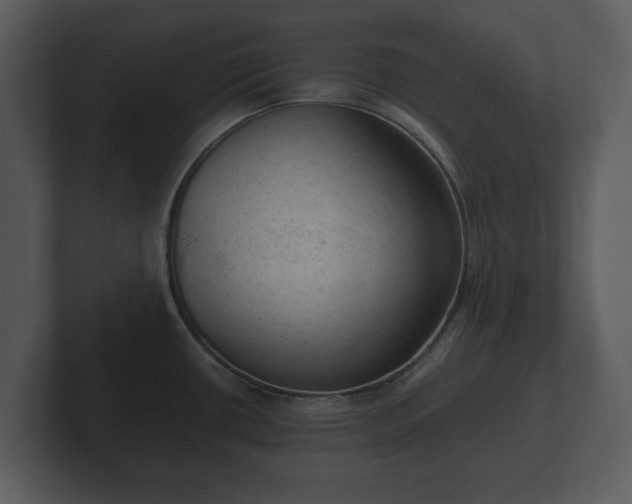 X0000103161434200808291441