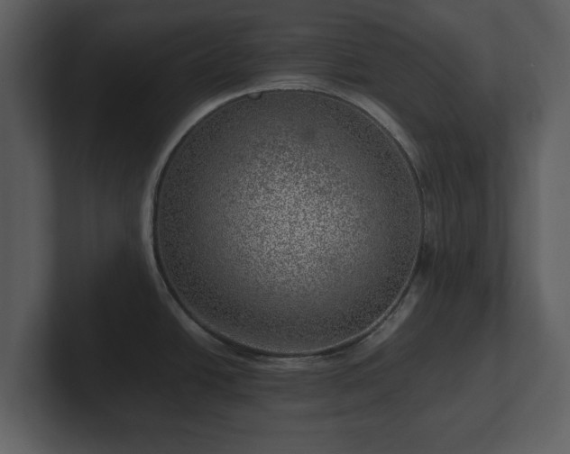 X0000103161438200808291441