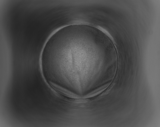 X0000103161440200808291441