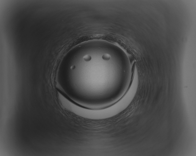 X0000103161441200808291441