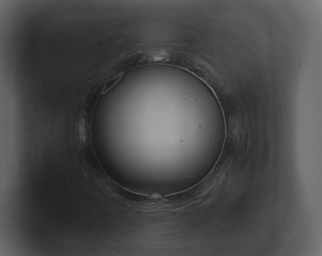 X0000103161442200808291440