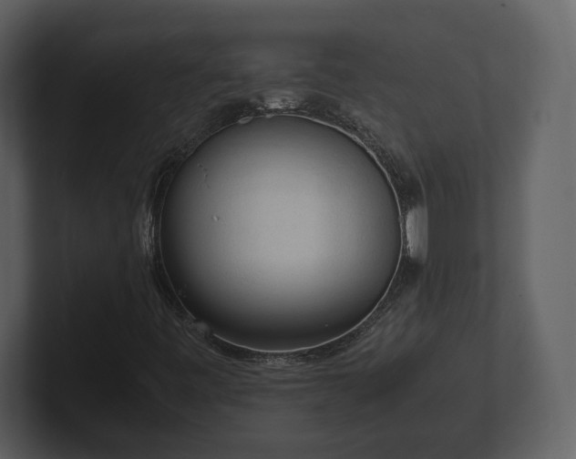 X0000103161443200808291440