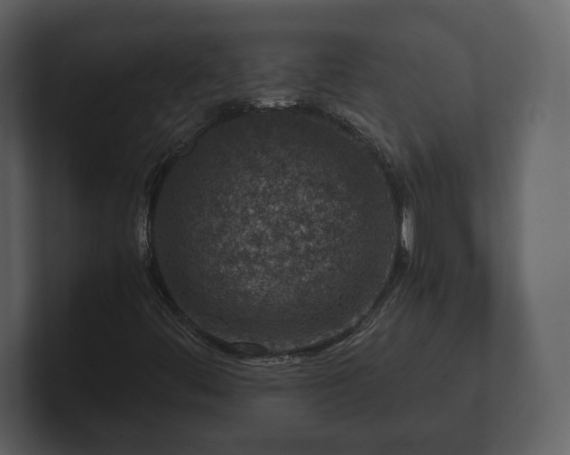 X0000103161444200808291440