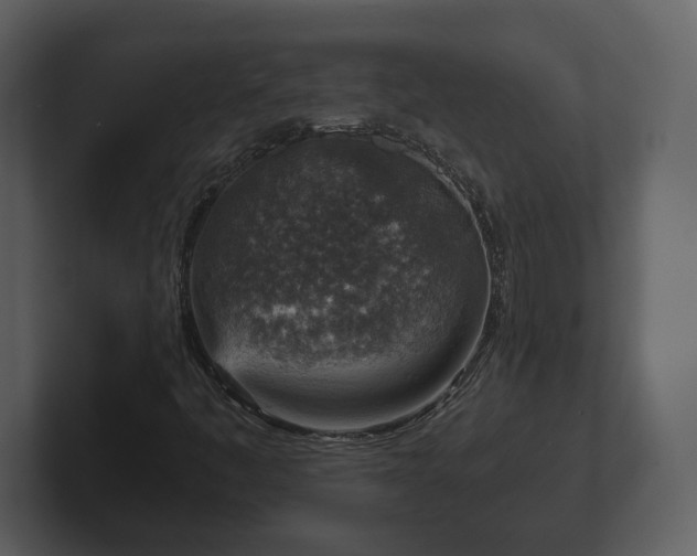 X0000103161445200808291440