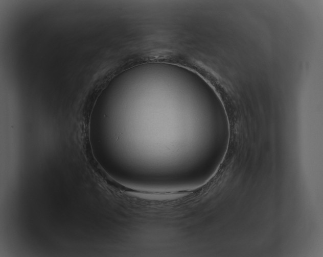 X0000103161447200808291440