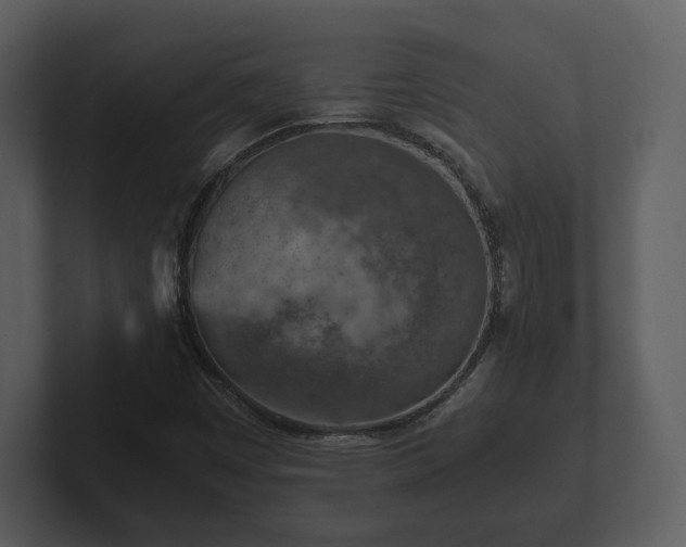 X0000103161449200808291440