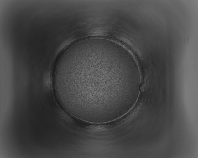 X0000103161450200808291440