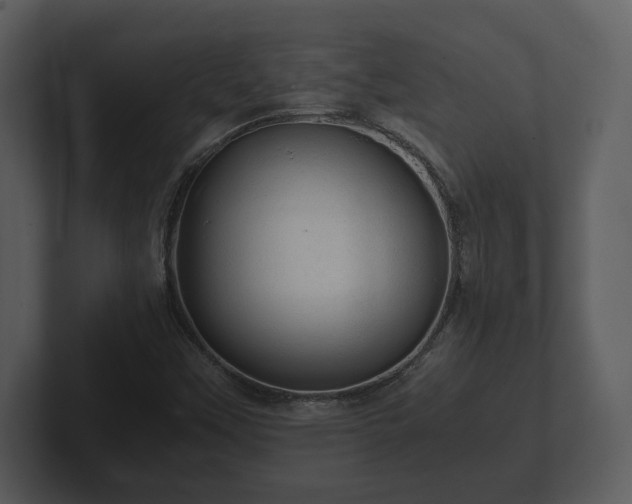 X0000103161451200808291440