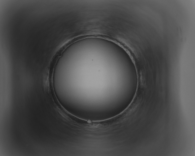 X0000103161452200808291440