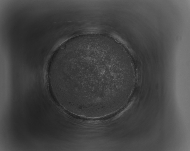 X0000103161453200808291440