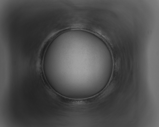 X0000103161454200808291440
