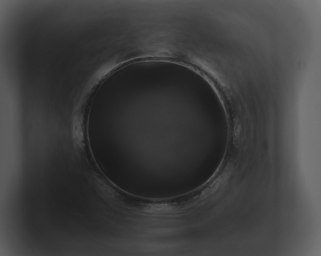 X0000103161455200808291440