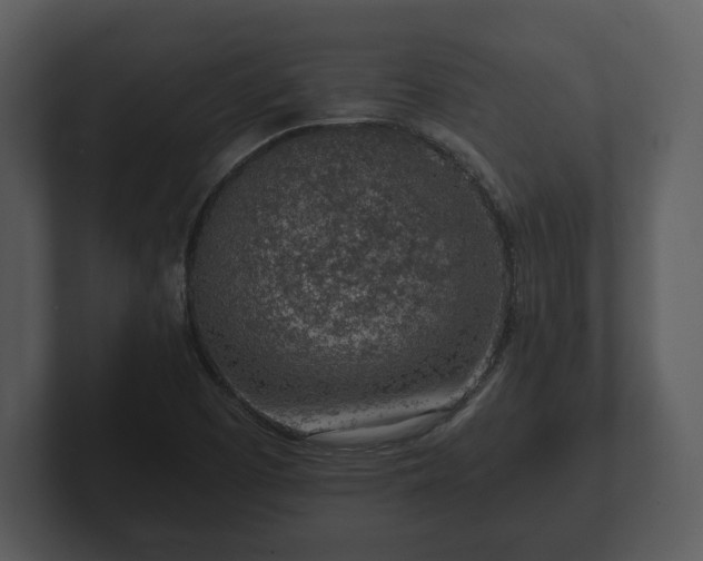 X0000103161457200808291440