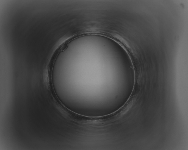 X0000103161458200808291440