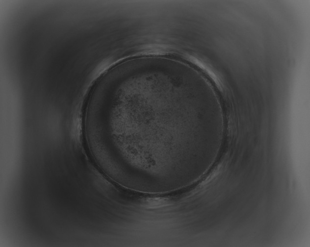 X0000103161459200808291440