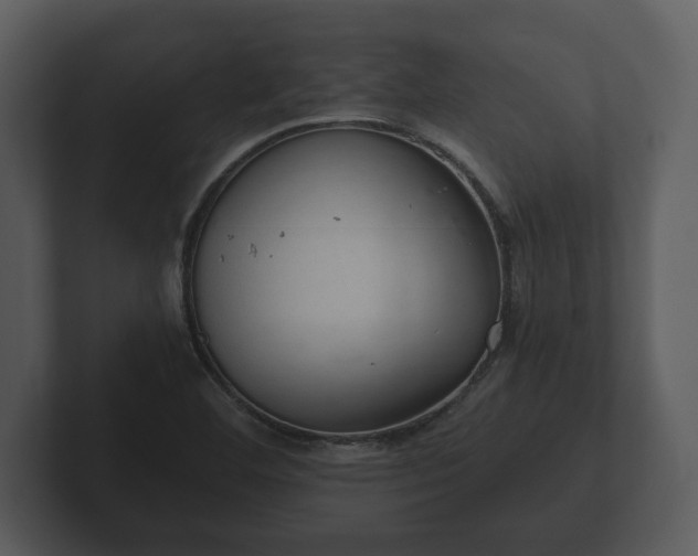 X0000103161460200808291440