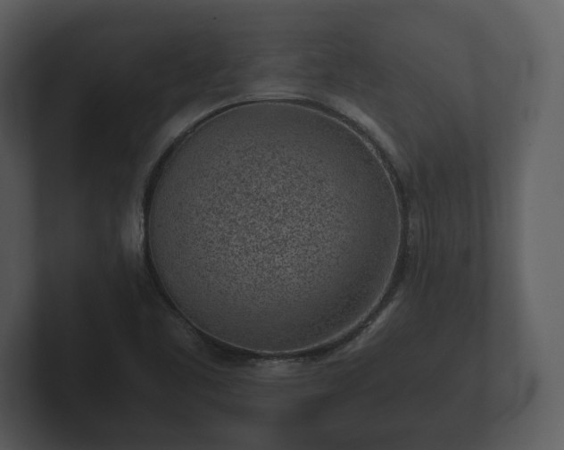 X0000103161461200808291440