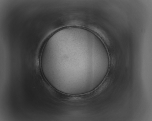 X0000103161462200808291440