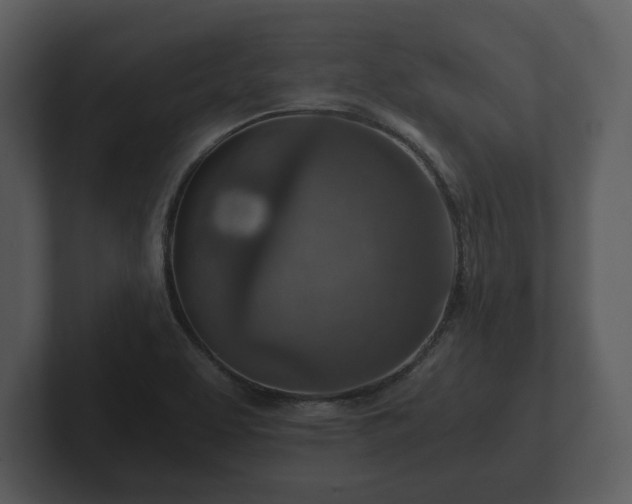 X0000103161463200808291440