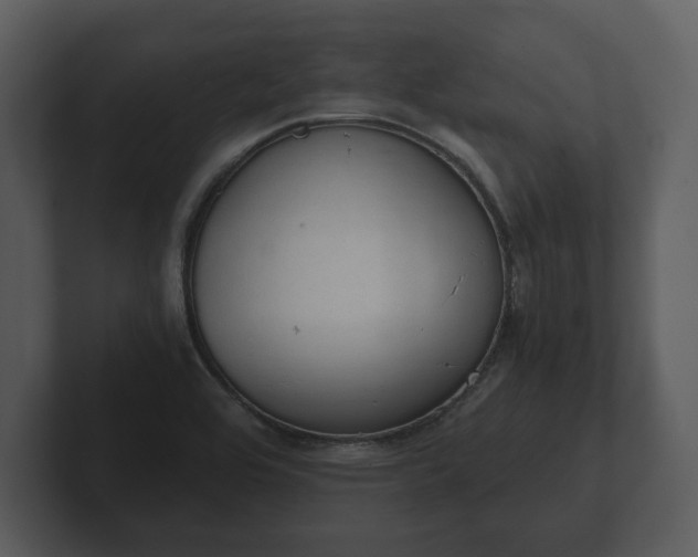 X0000103161464200808291440
