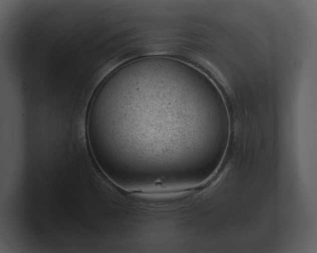 X0000103161465200808291440