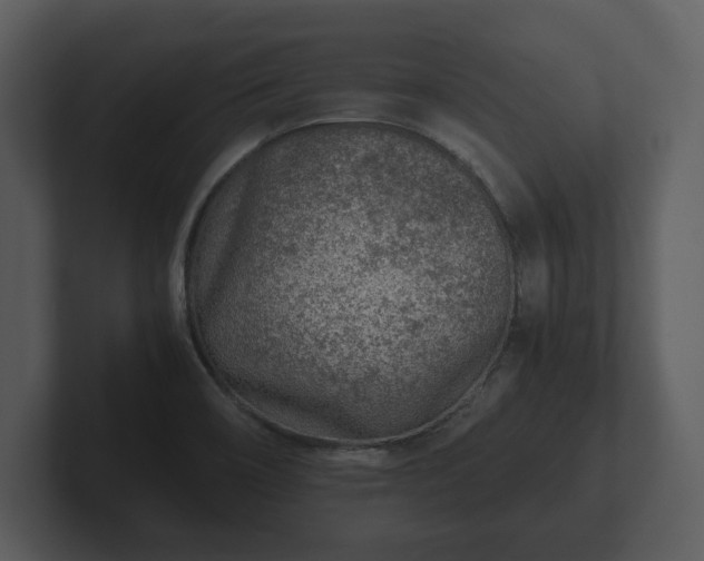 X0000103161466200808291440