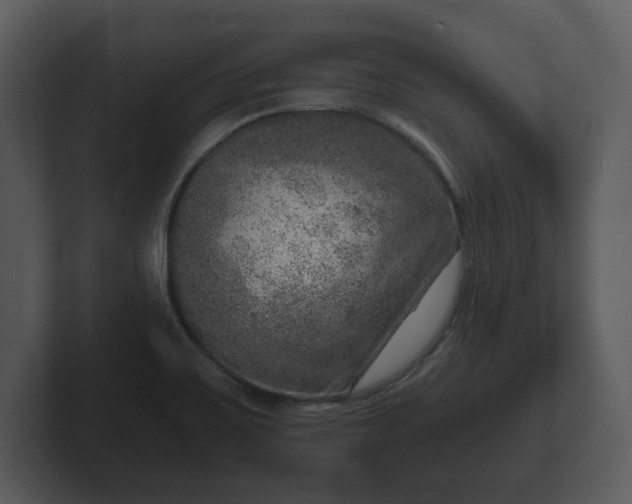 X0000103161467200808291440