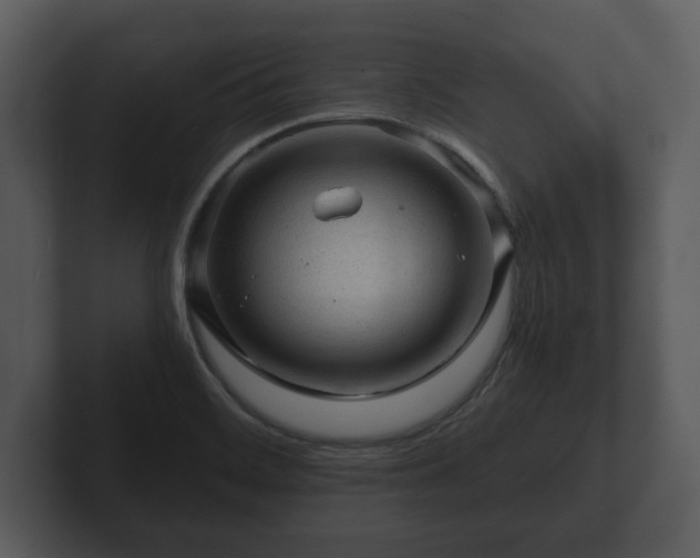 X0000103161468200808291440