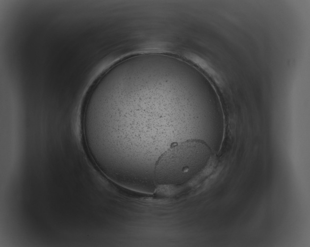 X0000103161469200808291440