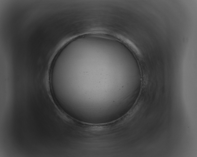 X0000103161470200808291440