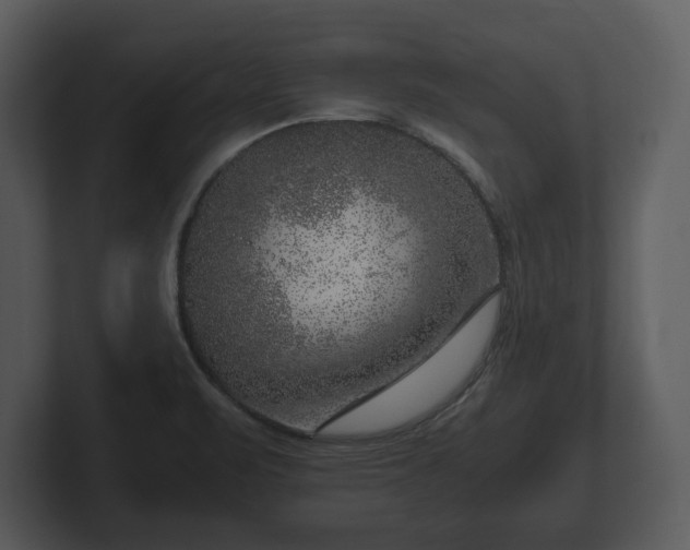 X0000103161471200808291440