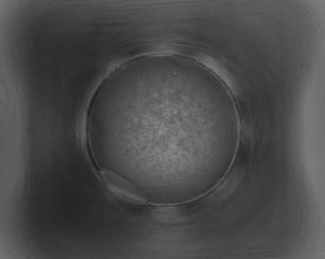 X0000103161477200808291440
