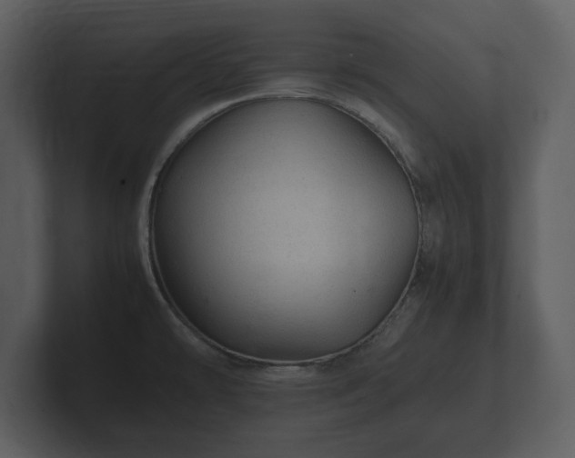 X0000103161478200808291440