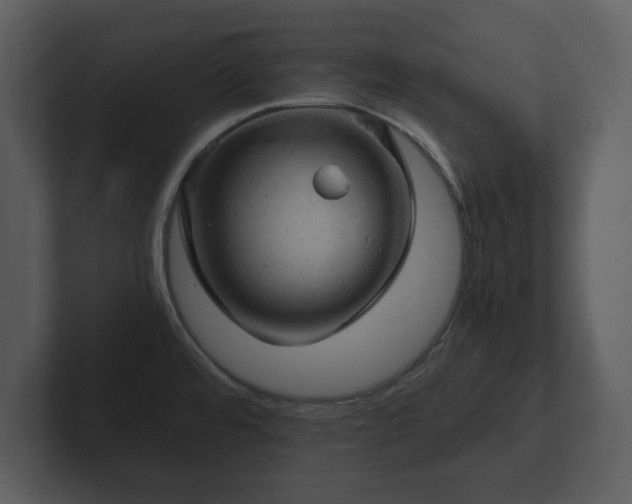 X0000103161480200808291440