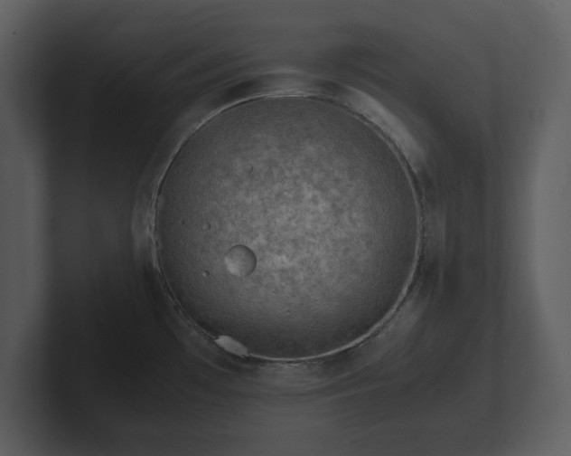 X0000103161481200808291440