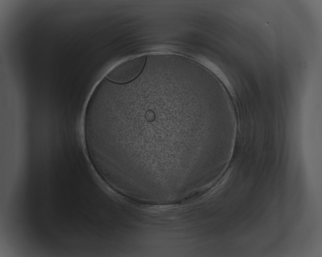 X0000103161482200808291440