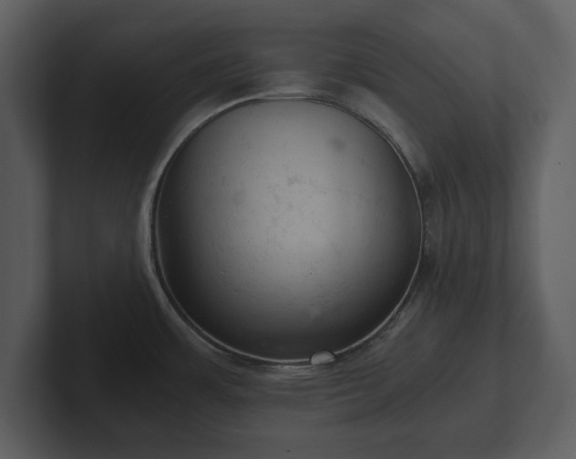 X0000103161483200808291440