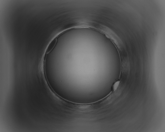 X0000103161484200808291440