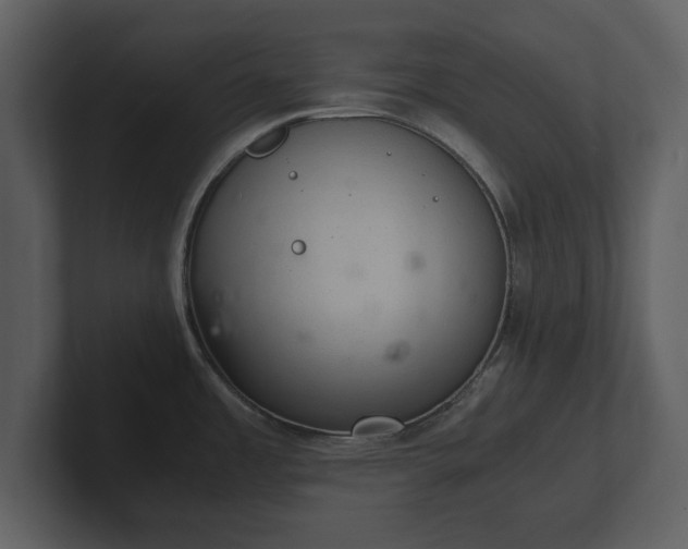 X0000103161485200808291440