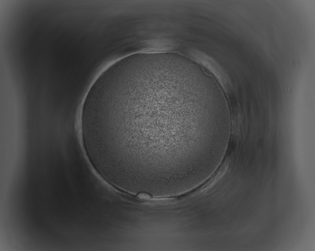 X0000103161487200808291440