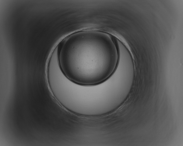 X0000103161488200808291440
