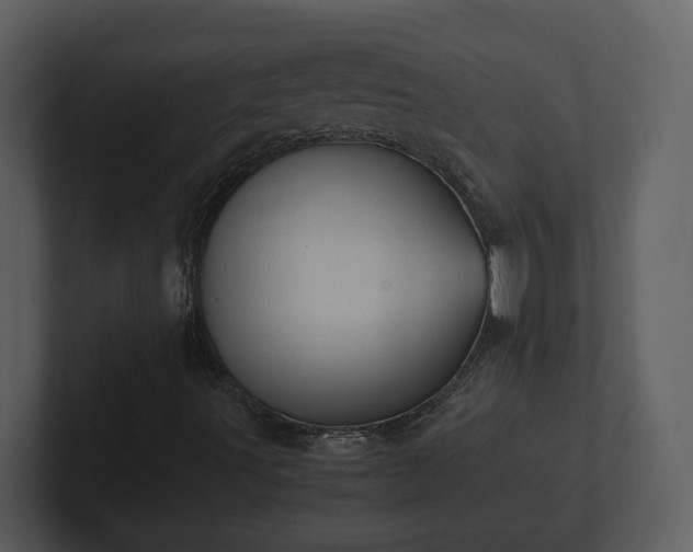 X0000103161491200808291439