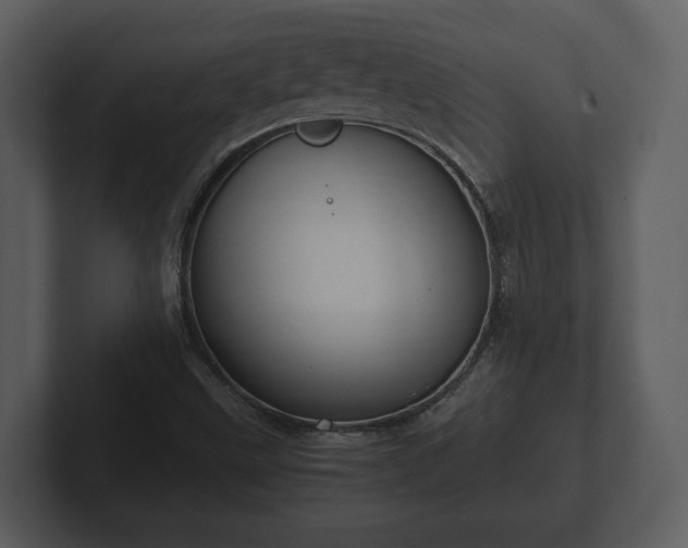 X0000103161499200808291439