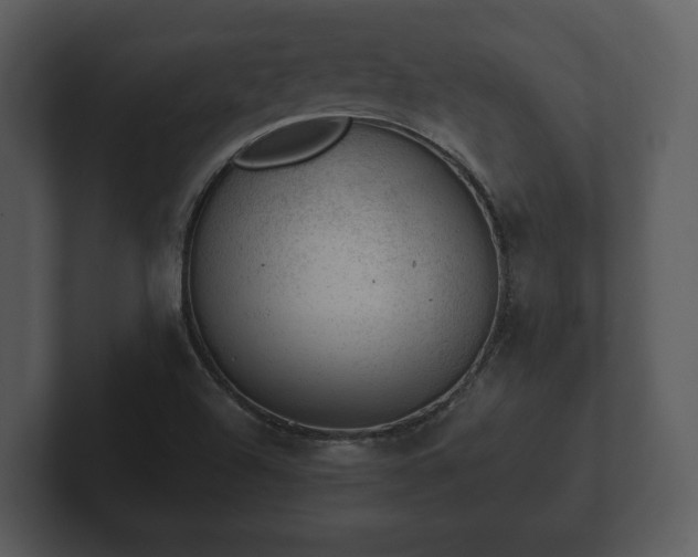 X0000103161504200808291439